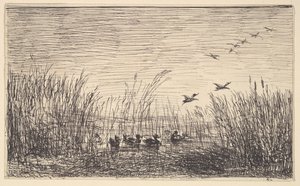 Enten in den Sümpfen, [1862], neu gedruckt 1921 von Charles Francois Daubigny