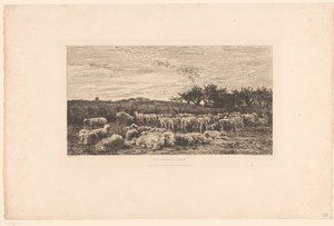 Landschaft mit Schafherde