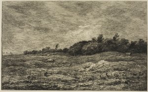 Le Pré des Graves in Villerville (Calvados) von Charles Francois Daubigny