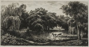 Sumpf mit Hirschen von Charles Francois Daubigny