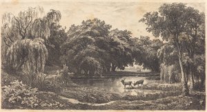 Teich mit Hirschen (La Mare aux cerfs) von Charles Francois Daubigny