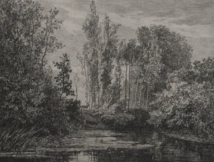 Hirsche am Wasser von Charles Francois Daubigny