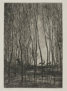 Hirsche im Wald