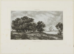 Stürmisches Wetter von Charles Francois Daubigny