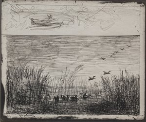 Sumpf mit Enten, Originaldruck 1862, gedruckt 1921