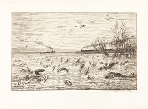 Die Fische freuen sich, wenn der Schiffsjunge geht