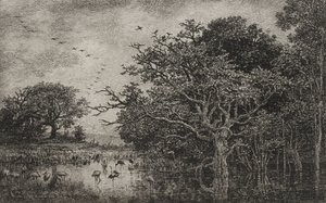Das Moor mit Störchen