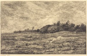 Die Wiese bei Grave, nahe Villerville von Charles Francois Daubigny
