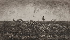 Der Regenschauer