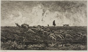 Der Schauer
