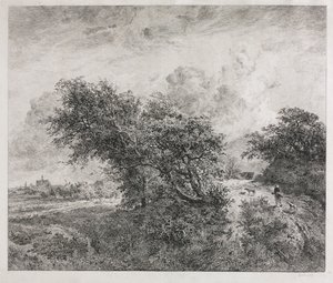 Das Dickicht von Charles Francois Daubigny