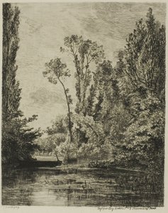 Die Jungferninseln bei Bezons (Das Angelloch)