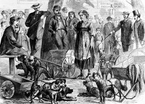 Verhaftete Lumpensammler im City Hall Park, New York, aus Harpers Weekly, veröffentlicht 1867 von Charles Green