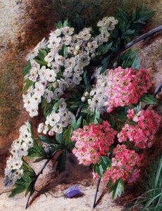 Blumen