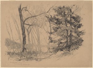 Waldinneres