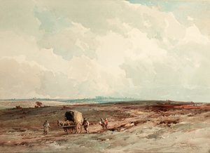Im Ashdown Forest Reserve, 1925 von Charles Harrington