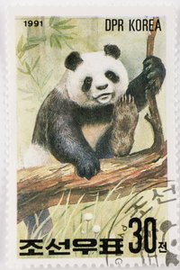 Briefmarke/Nordkorea/Ailuropoda melanoleuca/Großer Panda