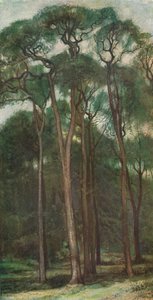 Studie von Bäumen, c1900 1903-1904