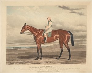 Rennen: Blue Bonnet. Der Gewinner der großen St. Leger Stakes in Doncaster 1842