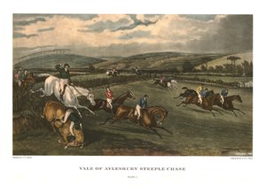 Vale of Aylesbury Steeple Chase, Platte 1