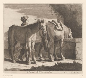 Trinkende Pferde