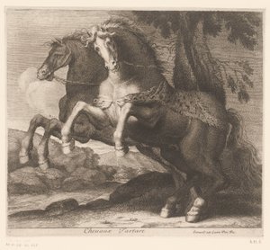 Steigernde Pferde von Charles II Errard (attributed to)