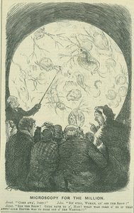 Mikroskopie für die Massen: 1878