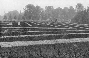 Teil des Labyrinths (fast die Hälfte)
