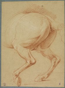 Die Hinterbeine eines Pferdes von Charles Le Brun