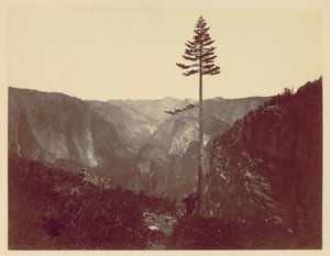 Yosemite-Tal vom Mariposa-Pfad, um 1865 von Charles Leander Weed