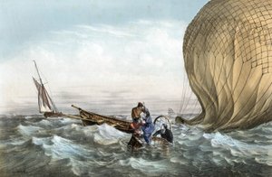 Der Habs-Ball von Charles Leduc