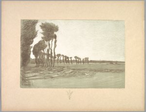 Suite de Paysages: Landschaft, Platte 5, Remarque, Drei Weizenhalme, 1892-1893 von Charles Marie Dulac