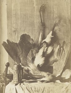 Wild-Stillleben, um 1853-55 von Charles Marville