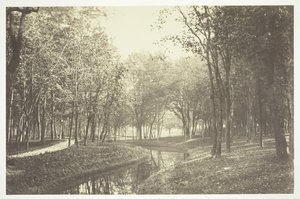 Ohne Titel [Bäume in der Nähe von Wasser im Bois de Boulogne, einem Park in Paris]