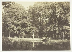 Ohne Titel, ca. 1850. [Bäume in der Nähe von Wasser im Bois de Boulogne, einem Park in Paris] von Charles Marville