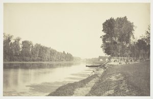 Ohne Titel, ca. 1850. [Bäume in der Nähe von Wasser im Bois de Boulogne, einem Park in Paris] von Charles Marville
