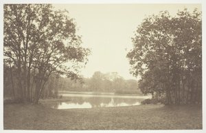 Ohne Titel, ca. 1850. [Bäume in der Nähe von Wasser im Bois de Boulogne, einem Park in Paris]