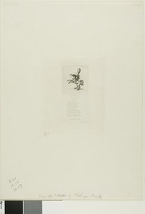 Kleiner Prinz Dito von Charles Meryon