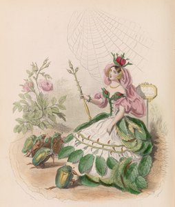 Les Fleurs Animées von Charles Michel Geoffroy