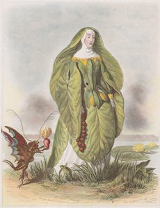 Seerose, aus Les Fleurs Animées, 1847 von Charles Michel Geoffroy