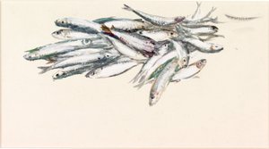 Studie von Fischen