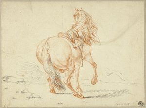Reiterloses Pferd