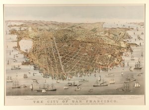 Die Stadt San Francisco - Vogel
