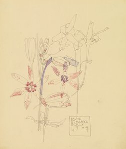 Ixias von Charles Rennie Mackintosh