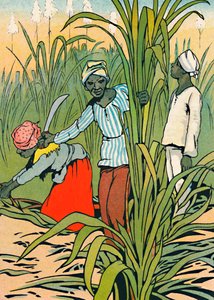 Bei der Arbeit unter den Zuckerrohren, 1912 von Charles Robinson