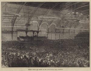 Messers Moody und Sankey in der Agricultural Hall, Islington von Sir John Charles Robinson