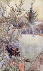 Unser sentimentaler Garten: Der Stechpalmenbaum