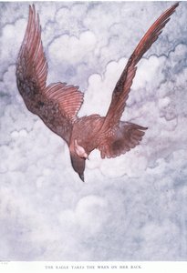 Der Adler nimmt den Zaunkönig auf ihren Rücken