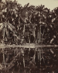 Tetiaroa - Eine Lagune der Paumotu, 1880er oder 1890er Jahre von Charles Spitz