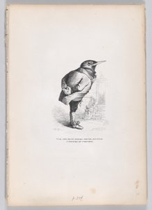 Alt, gebrochen, verwittert, skurril, aber gut, aber häuslich von Temperament, ca. 1837-47 von Charles Tamisier
